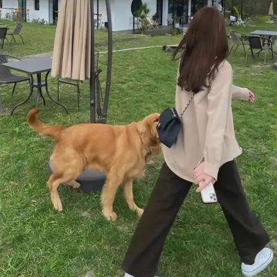 生死交易